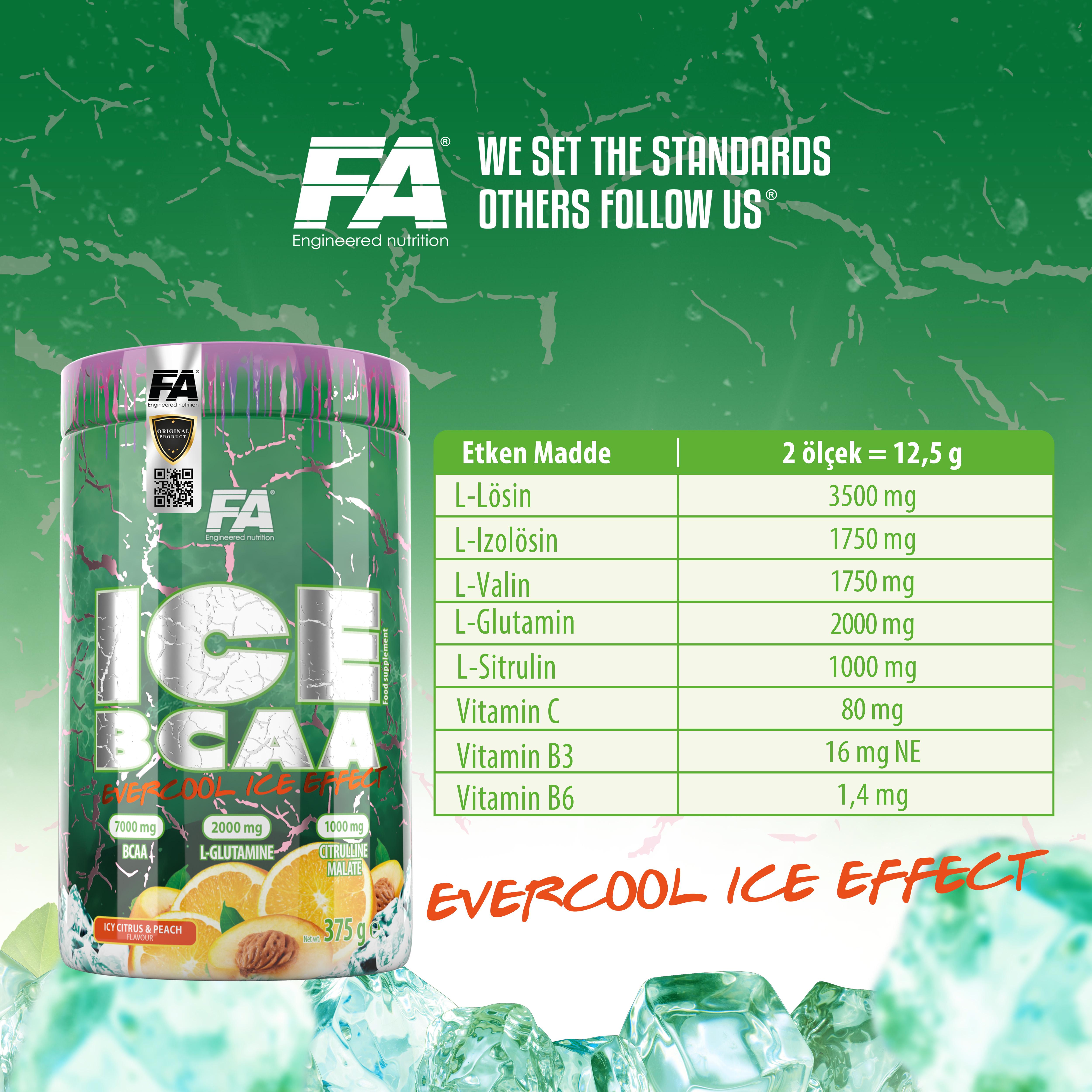 Fa Nutrition Ice Bcaa 375 Gr